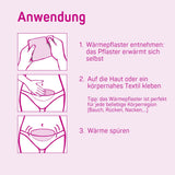 734-00_734-V1_Menstruations-Wärmepflaster 210 Stk.jpg