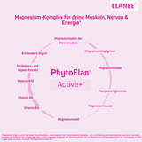 4260018192364_758-V1_Active+.png