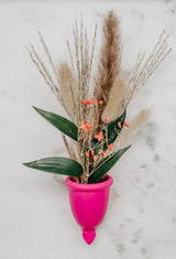 4260018197413_741-00_Menstruationstasse, Gr. 2.jpg