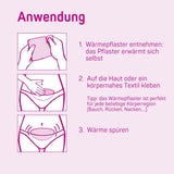 734-00_734-V1_Menstruations-Wärmepflaster 210 Stk.jpg