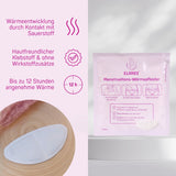 734-00_734-V1_Menstruations-Wärmepflaster 210 Stk.jpg