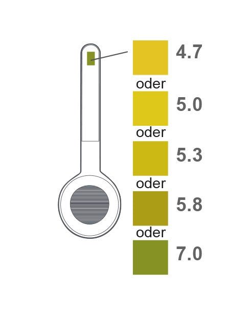 735-00__736-00_ Vaginaler pH-Selbsttest, 2 Stk. _Vaginaler pH-Selbsttest, 20 Stk._ 4260018197352_4260018197369.jpg