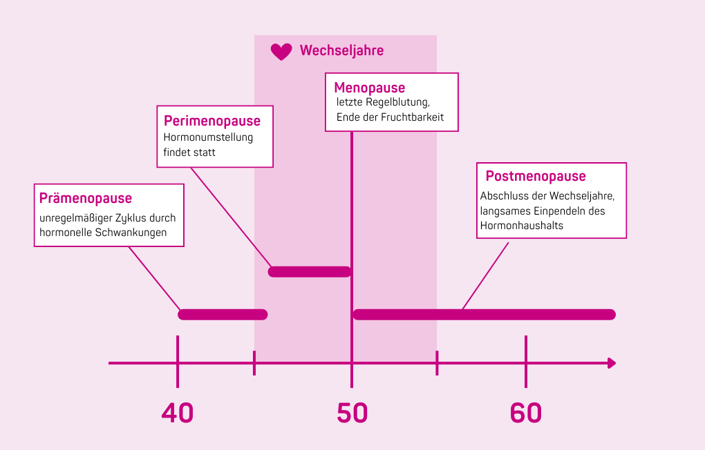 Blog_Blutungen in den Wechseljahren_Grafik